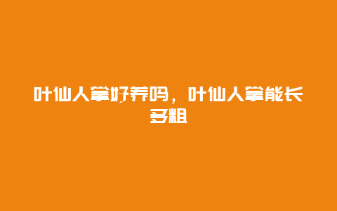 叶仙人掌好养吗，叶仙人掌能长多粗