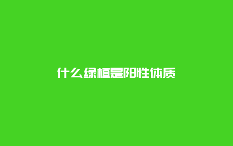 什么绿植是阳性体质