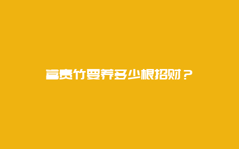 富贵竹要养多少根招财？