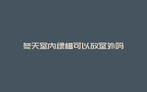 冬天室内绿植可以放室外吗