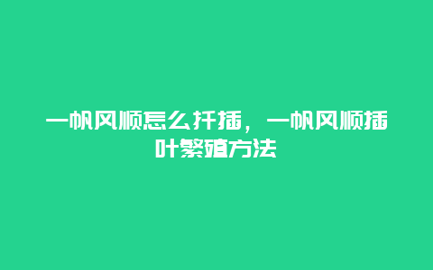 一帆风顺怎么扦插，一帆风顺插叶繁殖方法