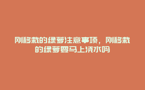 刚移栽的绿萝注意事项，刚移栽的绿萝要马上浇水吗