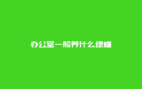 办公室一般养什么绿植