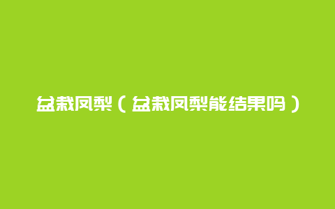 盆栽凤梨（盆栽凤梨能结果吗）