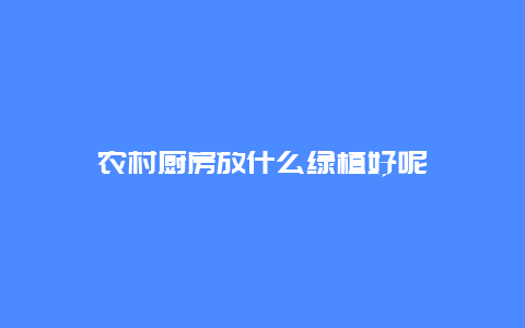 农村厨房放什么绿植好呢