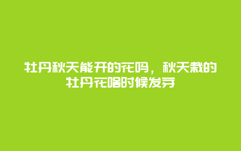 牡丹秋天能开的花吗，秋天栽的牡丹花啥时候发芽