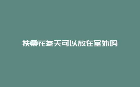 扶桑花冬天可以放在室外吗