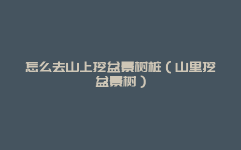 怎么去山上挖盆景树桩（山里挖盆景树）