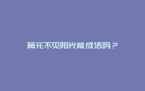 梅花不见阳光能成活吗？