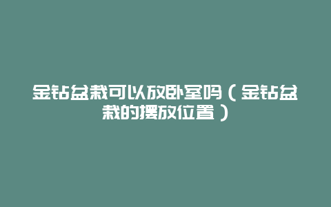 金钻盆栽可以放卧室吗（金钻盆栽的摆放位置）