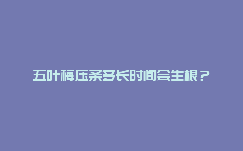 五叶梅压条多长时间会生根？