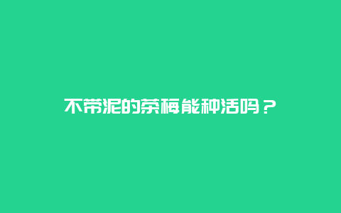 不带泥的茶梅能种活吗？