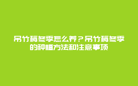 吊竹梅冬季怎么养？吊竹梅冬季的种植方法和注意事项