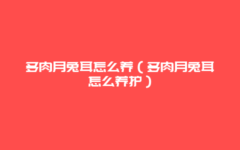 多肉月兔耳怎么养（多肉月兔耳怎么养护）