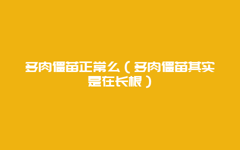 多肉僵苗正常么（多肉僵苗其实是在长根）