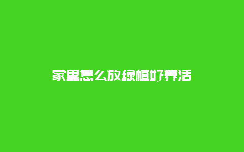 家里怎么放绿植好养活