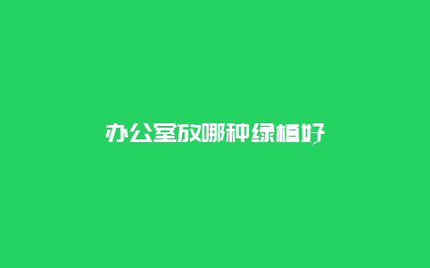 办公室放哪种绿植好