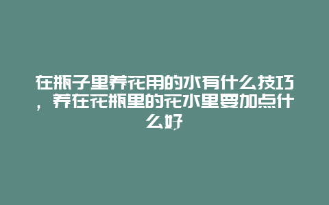 在瓶子里养花用的水有什么技巧，养在花瓶里的花水里要加点什么好