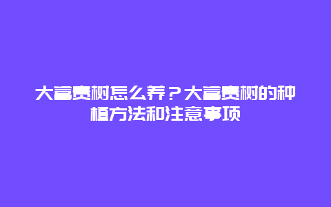 大富贵树怎么养？大富贵树的种植方法和注意事项