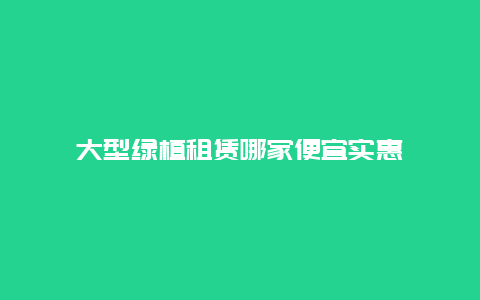 大型绿植租赁哪家便宜实惠