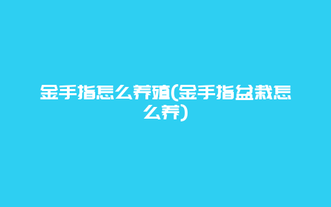 金手指怎么养殖(金手指盆栽怎么养)