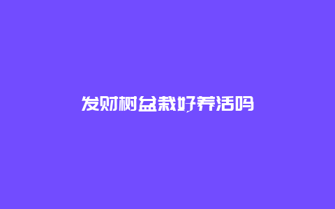 发财树盆栽好养活吗