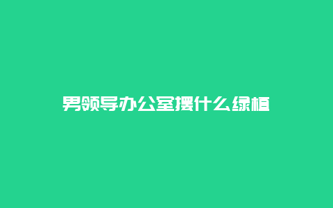 男领导办公室摆什么绿植