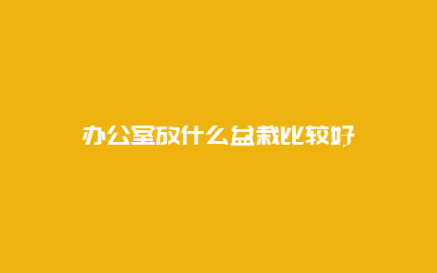 办公室放什么盆栽比较好