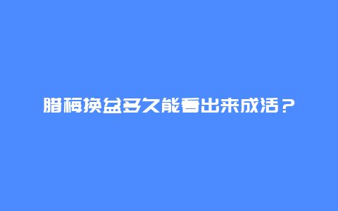 腊梅换盆多久能看出来成活？