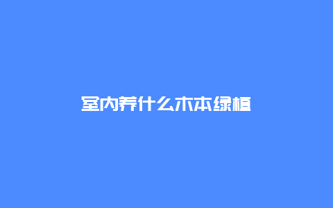 室内养什么木本绿植