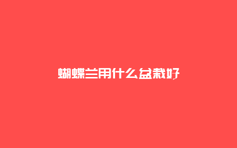 蝴蝶兰用什么盆栽好