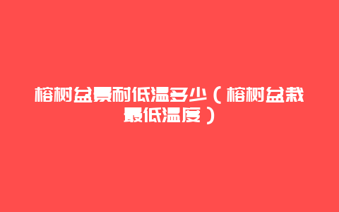 榕树盆景耐低温多少（榕树盆栽最低温度）