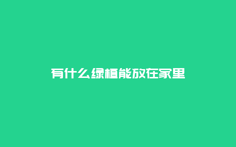 有什么绿植能放在家里