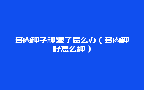 多肉种子种混了怎么办（多肉种籽怎么种）