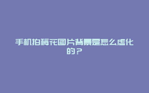 手机拍梅花图片背景是怎么虚化的？