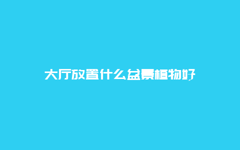 大厅放置什么盆景植物好