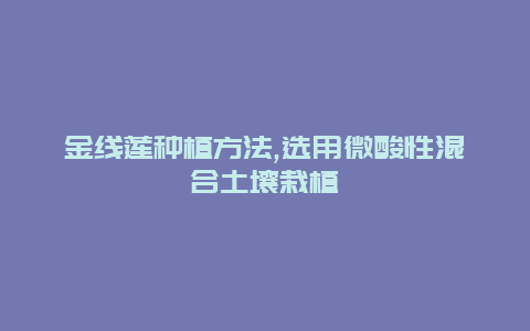 金线莲种植方法,选用微酸性混合土壤栽植