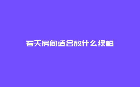 春天房间适合放什么绿植