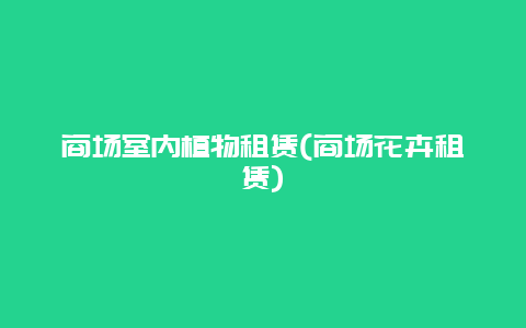 商场室内植物租赁(商场花卉租赁)