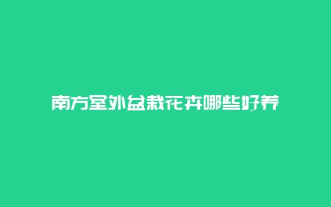 南方室外盆栽花卉哪些好养