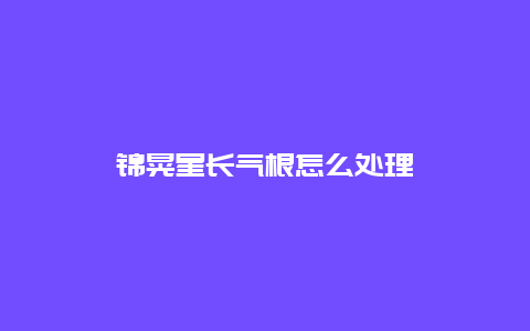 锦晃星长气根怎么处理