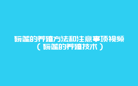 碗莲的养殖方法和注意事项视频（碗莲的养殖技术）