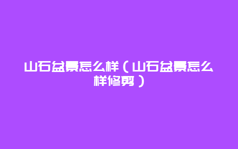 山石盆景怎么样（山石盆景怎么样修剪）