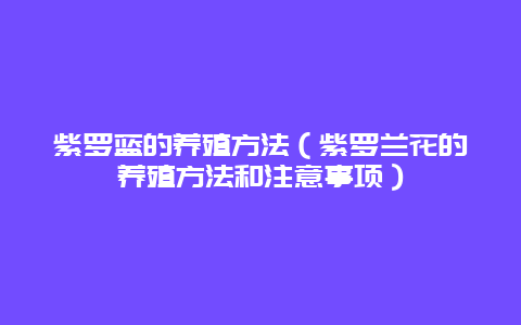 紫罗蓝的养殖方法（紫罗兰花的养殖方法和注意事项）