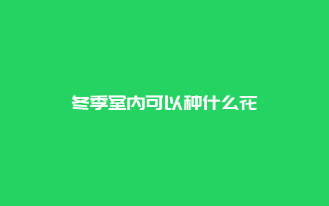 冬季室内可以种什么花