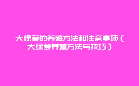 大绿萝的养殖方法和注意事项（大绿萝养殖方法与技巧）