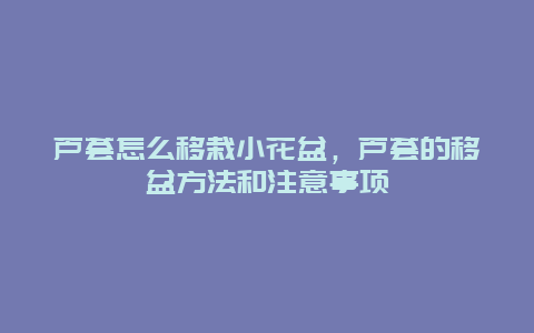 芦荟怎么移栽小花盆，芦荟的移盆方法和注意事项