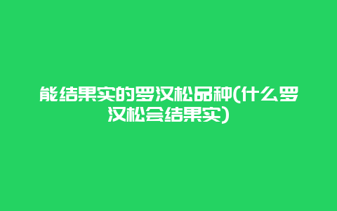 能结果实的罗汉松品种(什么罗汉松会结果实)