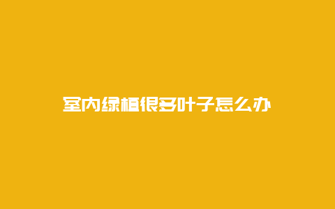 室内绿植很多叶子怎么办