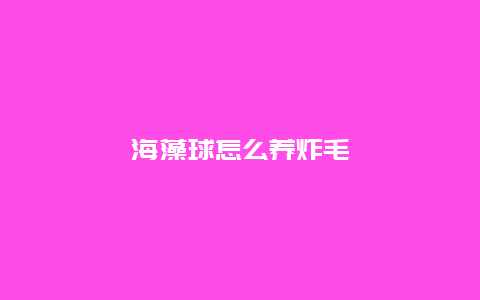 海藻球怎么养炸毛